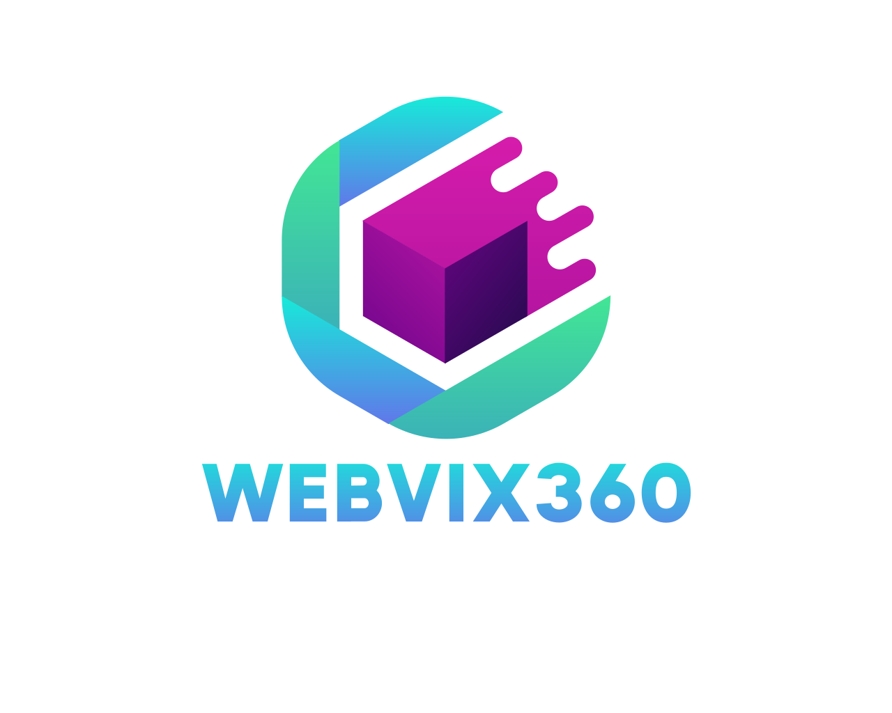 Webvix360 logo